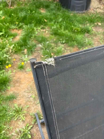 Photo of free Sun loungers (West Bergholt CO6) #3
