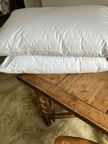 Photo of free 2 Goose-down pillows M/head River Area. (Maidenhead SL6) #3