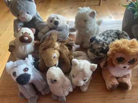 Photo of free Bag of small soft toys (Stroud GL5) #2
