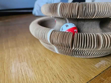 Photo of free Cardboard concertina cat toy (Bedford Rd area SG6) #2