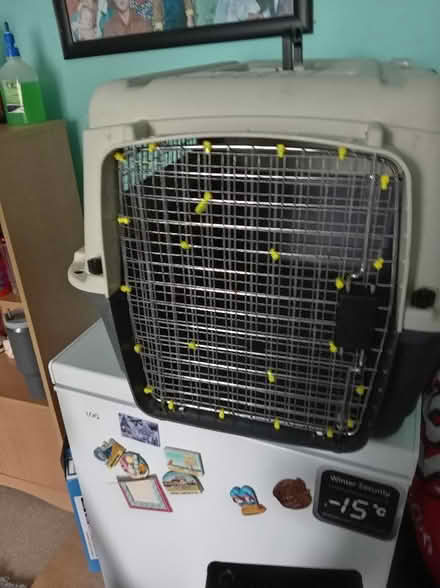 Photo of free Dog cage (Maidenhead SL6) #3