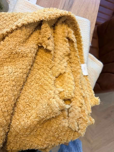 Photo of free 2 x dog blankets (Belper DE56) #4