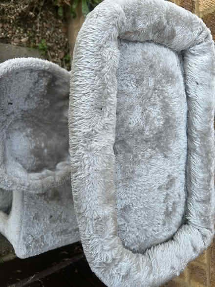 Photo of free Cat tree (Crownhill MK8) #2