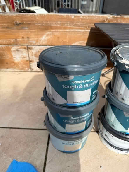 Photo of free Indoor Wall Paint (Hatfield) #2