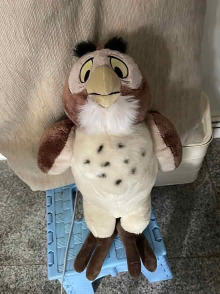 Photo of free Owl Soft Toy (Highbury New Park N5) #1