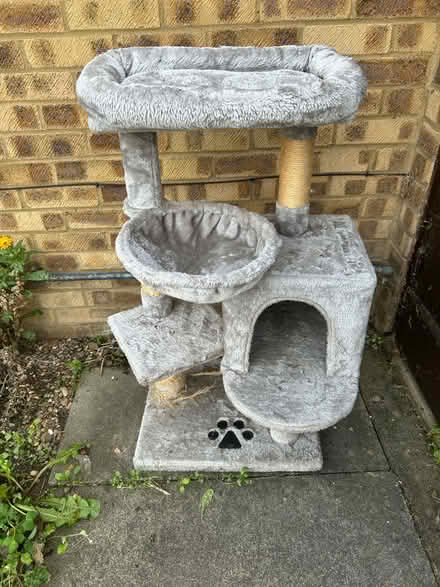 Photo of free Cat tree (Crownhill MK8) #3