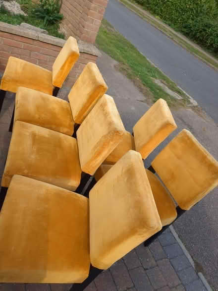 Photo of free 6 designer dining chairs (MK43) #1