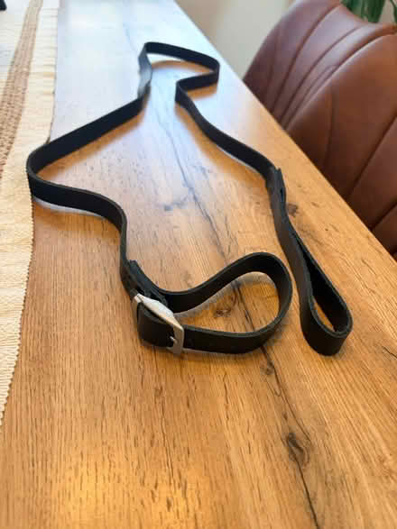 Photo of free Dog collar and lead (Belper DE56) #1
