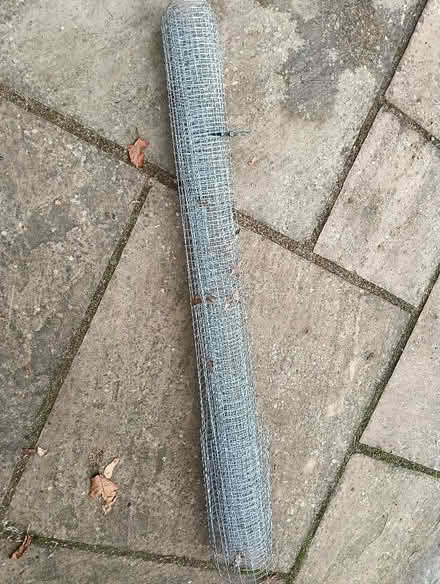 Photo of free Galvanised wire mesh (rabbit run etc) - end of roll (Royston SG8) #1