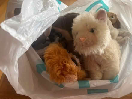 Photo of free Bag of small soft toys (Stroud GL5) #1