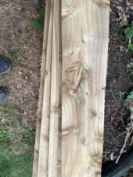 Photo of free Five 2400mm x 150mm Feather edge fence boards (Tolworth KT6) #3