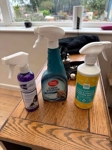 Photo of free Puppy cleaners and training things (Peasedown BA2) #1
