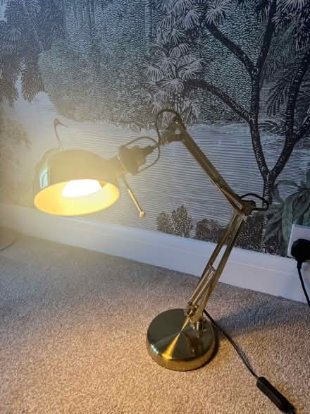 Photo of free Desk lamp (Wokingham RG40) #1