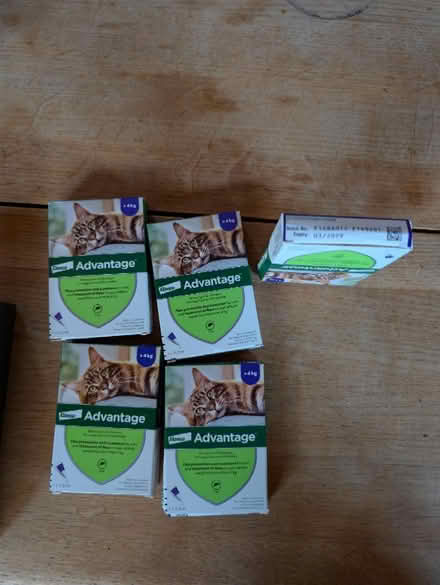 Photo of free Cat Flea treatment x 5 (Wantage, OX12) #1
