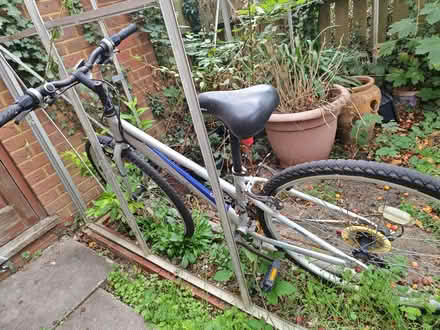 Photo of free bike (Bradwell Common MK13) #1