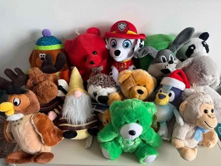 Photo of free Collection of soft plus toys (St Helens TN34) #1