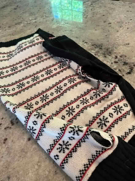 Photo of free Dog sweater (Groton (near Shaws)) #1