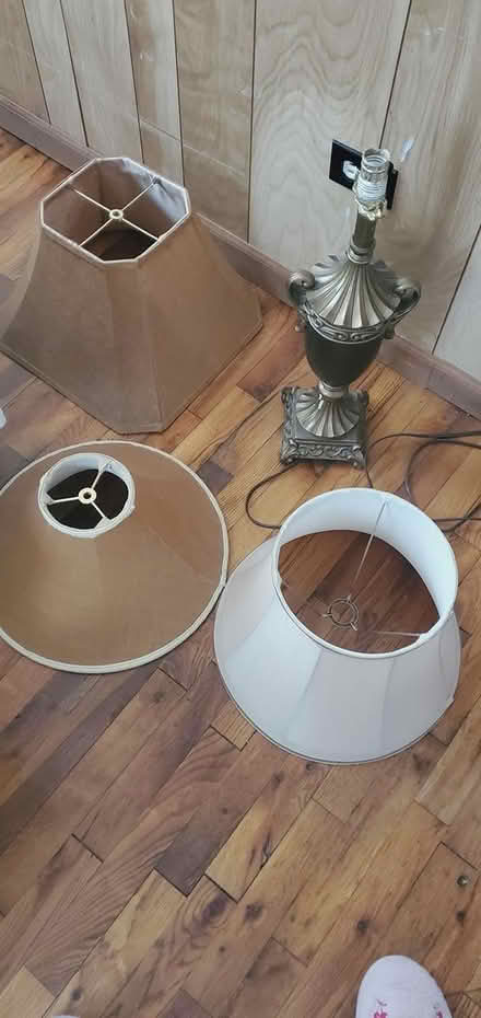 Photo of free Lamp shades & Lamp (Fancy Gap) #1