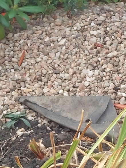 Photo of free Garden /driveway 'chucky' stones (Craigentinny, EH7) #1