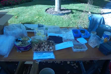 Photo of free Day items (Carlington east) #2