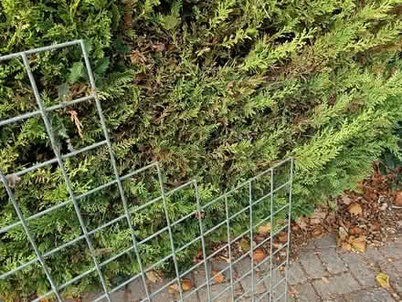 Photo of free Large, strong steel mesh (used as pond cover (Royston SG8) #3