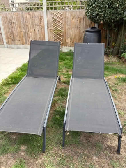 Photo of free Sun loungers (West Bergholt CO6) #1