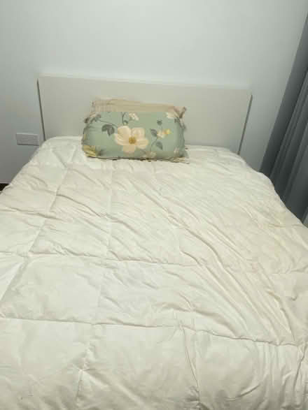 Photo of free Bed and sofa ( 2in 1 can be bed) (Normanton park singapore) #1