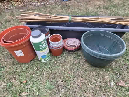 Photo of free Gardening supplies (Newport Pagnell MK16) #2