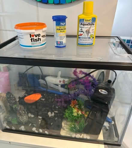 Photo of free Fish tank (Raynes park SW20) #2
