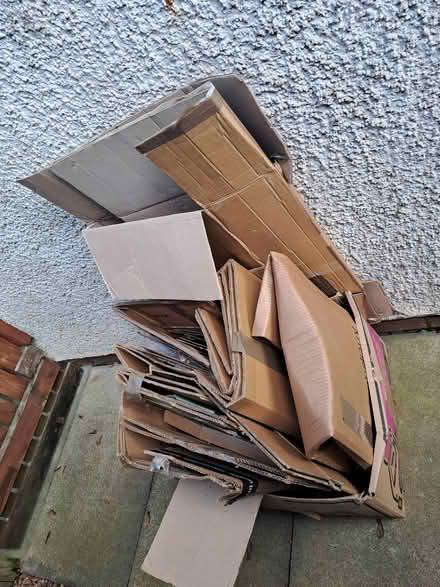 Photo of free Moving boxes (Penrith, Cumbria CA11) #1