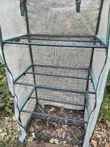 Photo of free Small greenhouse (Newport Pagnell MK16) #4
