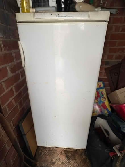 Photo of free Large Freezer (Brumby DN16) #1
