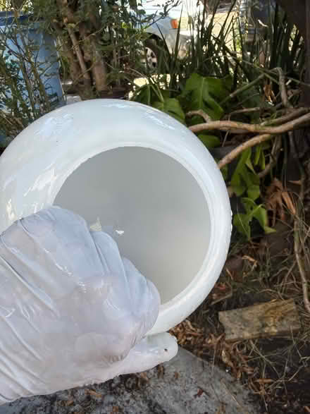 Photo of free Glass globe (Berkeley) #2