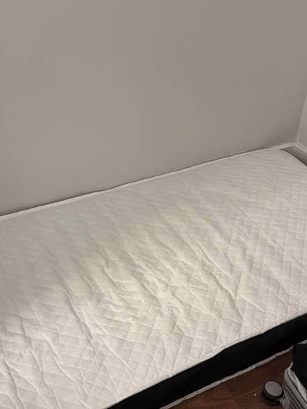 Photo of free Single mattress (SE1) #1
