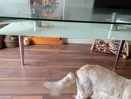 Photo of free Glass dining room table (ME12 Minster on sea) #3