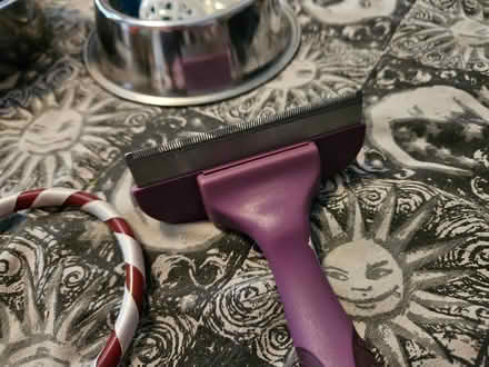 Photo of free Cat toys, bowls and comb (Bedford Rd area SG6) #3