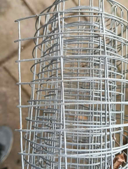 Photo of free Galvanised wire mesh (rabbit run etc) - end of roll (Royston SG8) #2