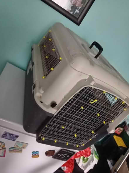 Photo of free Dog cage (Maidenhead SL6) #1