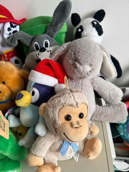 Photo of free Collection of soft plus toys (St Helens TN34) #4