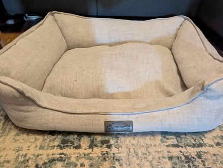 Photo of free Scruffs dog bed (Hitchin SG5) #2