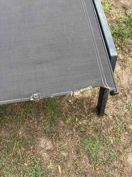Photo of free Sun loungers (West Bergholt CO6) #2