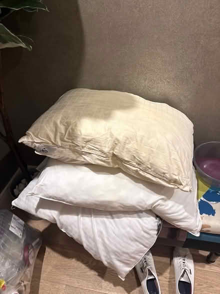 Photo of free 4 pillows (Bayswater, W2) #1