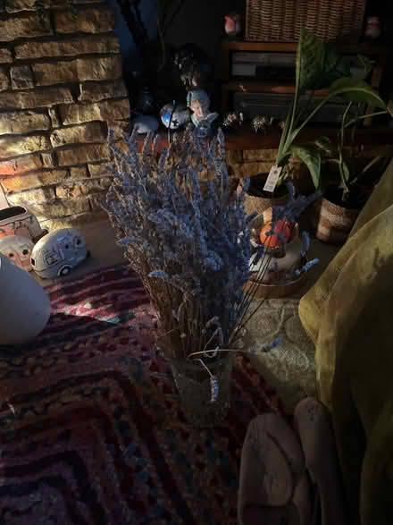 Photo of free Dried lavender (Newton Abbot TQ12) #1