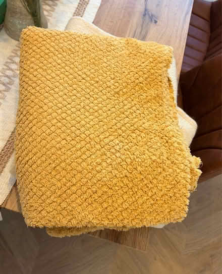 Photo of free 2 x dog blankets (Belper DE56) #3