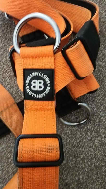 Photo of free Billy Billows Dog Harness (Congleton CW12) #2