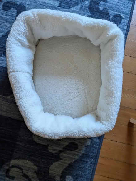 Photo of free Cat bed (North Oakland) #1