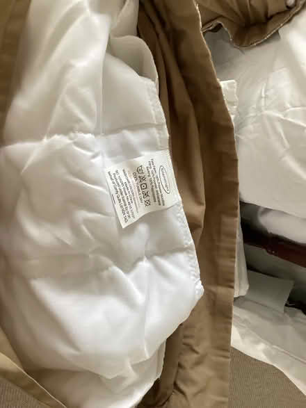 Photo of free Single bed mattress covers and pillows (Old Windsor SL4) #1