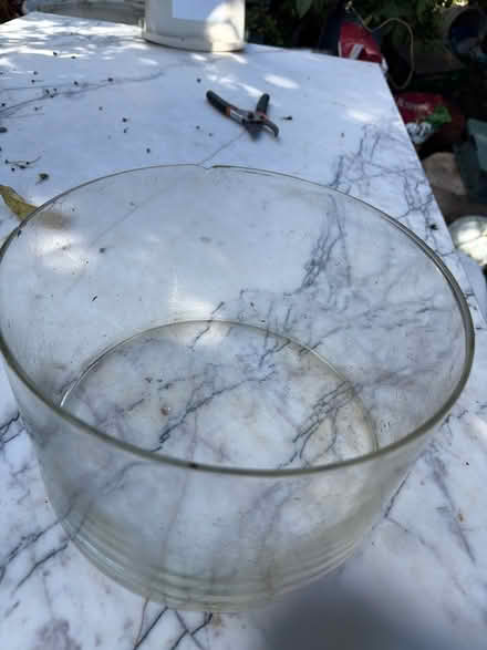 Photo of free Terrarium (Berkeley) #1