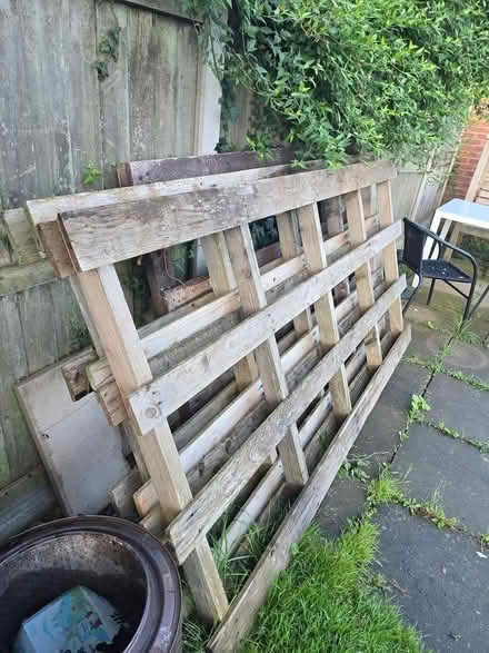 Photo of free 3 x large pallets (Dinesgreen WR2) #1