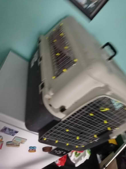 Photo of free Dog cage (Maidenhead SL6) #4
